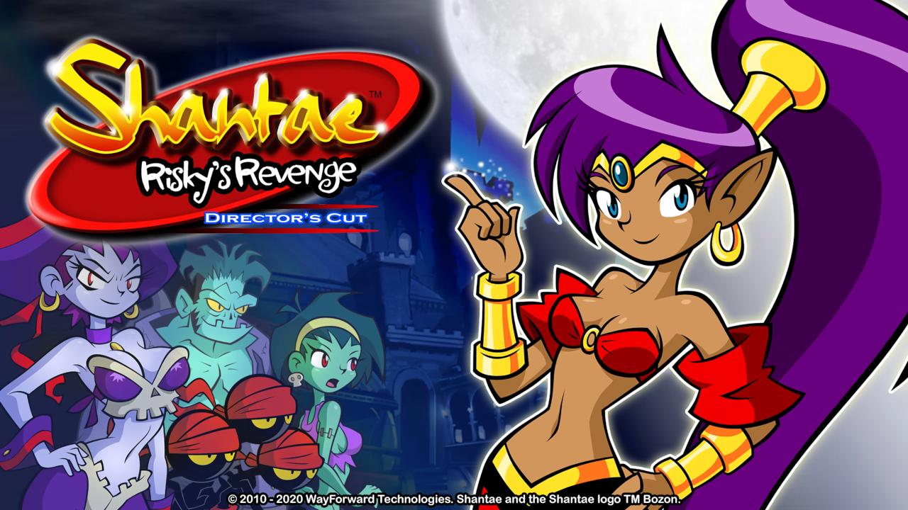 Shantae - Risky's Revenge - Director's Cut — sstitle (WOR)