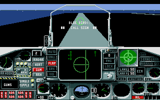 Flight Of The Intruder — ss (WOR)