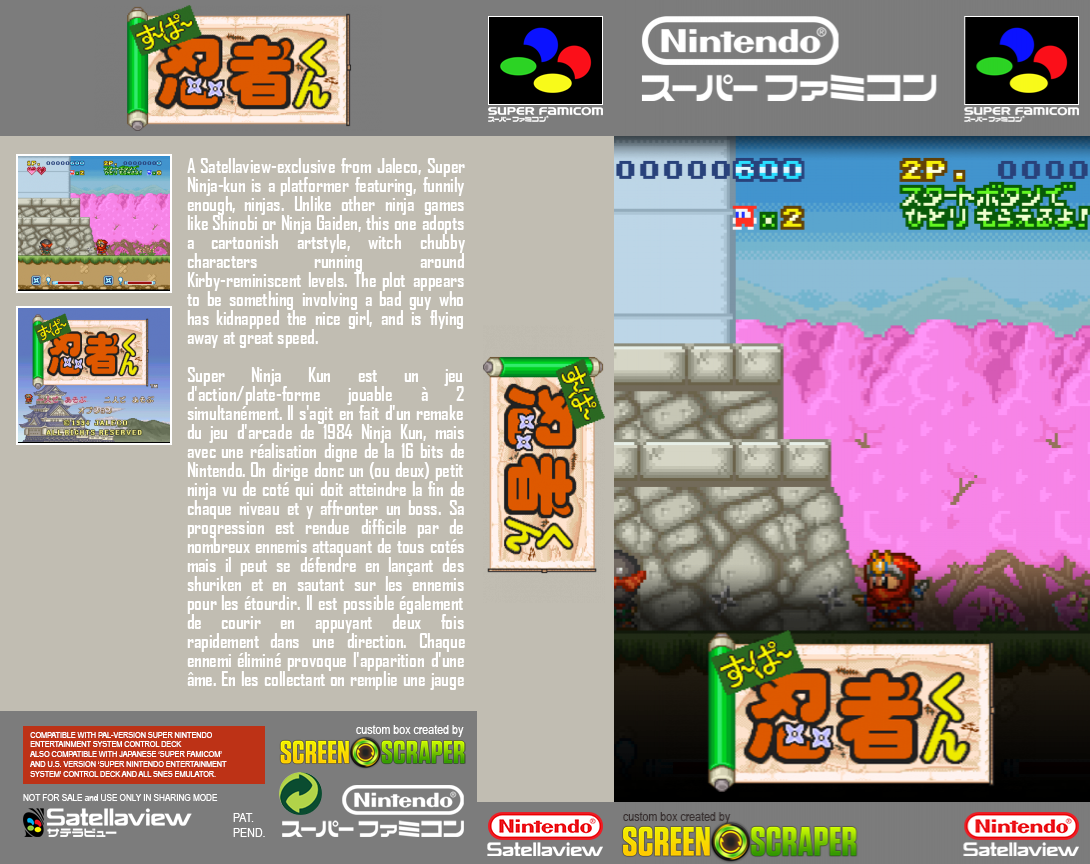 Super Ninja-kun — box-texture (SS)