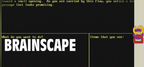 Brainscape — steamgrid