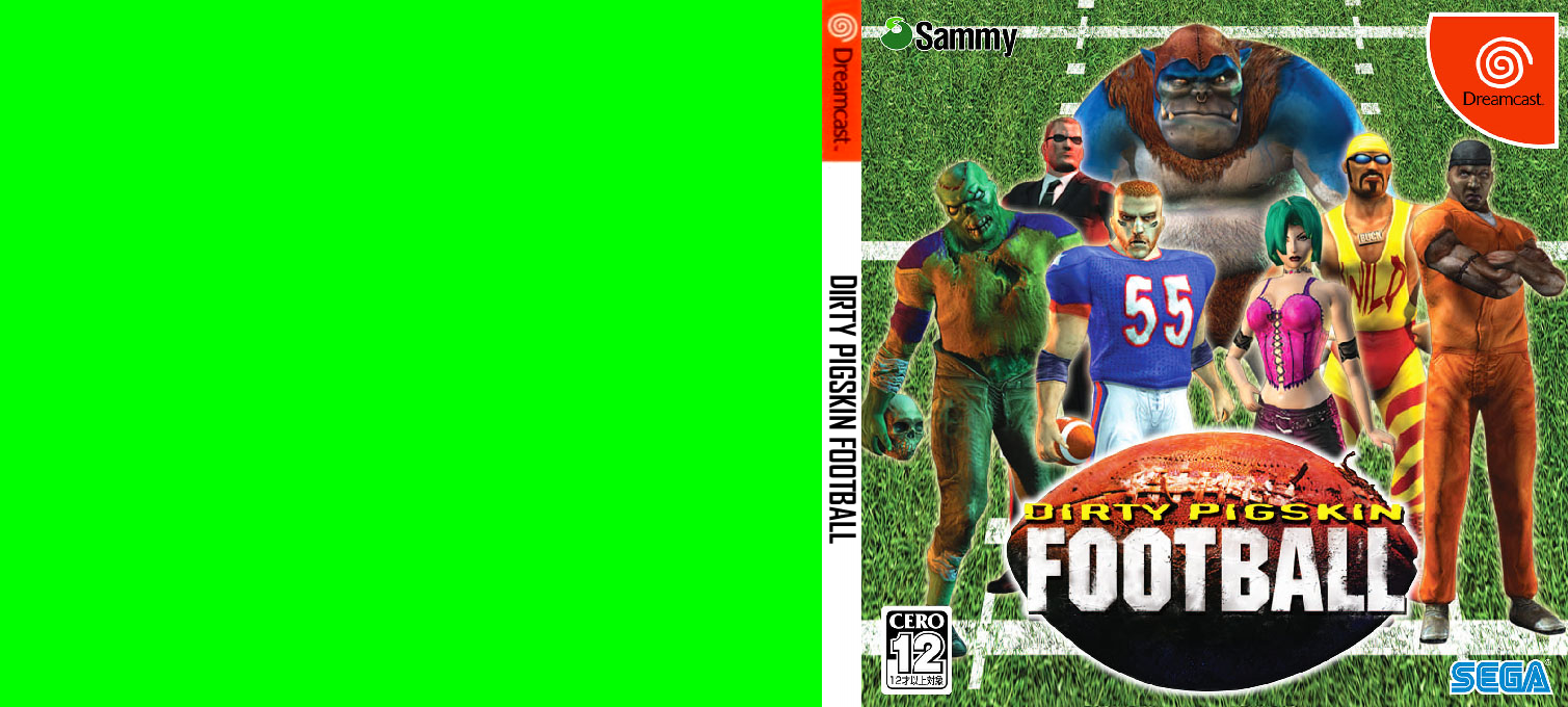 Dirty Pigskin Football — box-texture (JP)