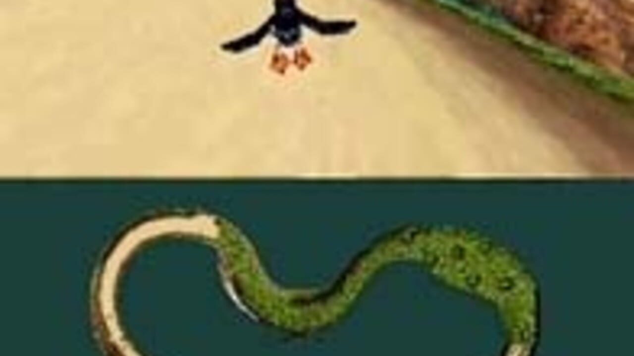 Puffins - Let's Race! — screenshot (WOR)