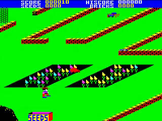 Pedro — ss (WOR)
