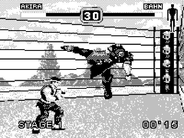 Fighters Megamix — ss (WOR)