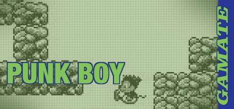 Punk Boy — steamgrid