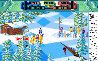 Advanced Ski Simulator — ss (EU)