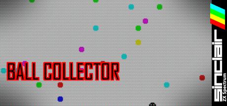 Ball Collector — steamgrid