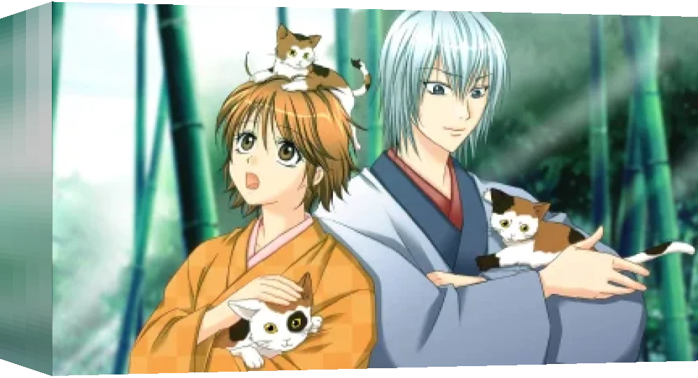 Bakumatsu Renka Shinsengumi - Jinchuu Houkoku no Shi — box-3D (WOR)
