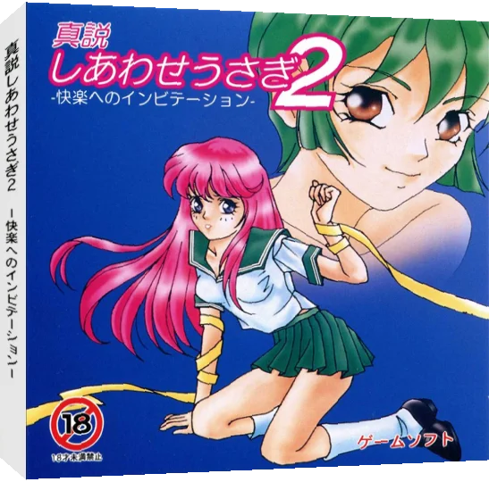Shinsetsu Shiawase Usagi 2 - Kairaku e no Invitation — box-3D (JP)