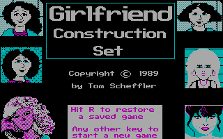 Girlfriend Construction Set box art