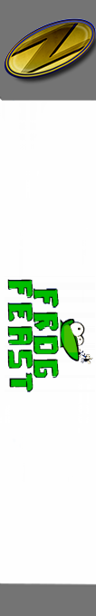 Frog Feast — box-2D-side (SS)