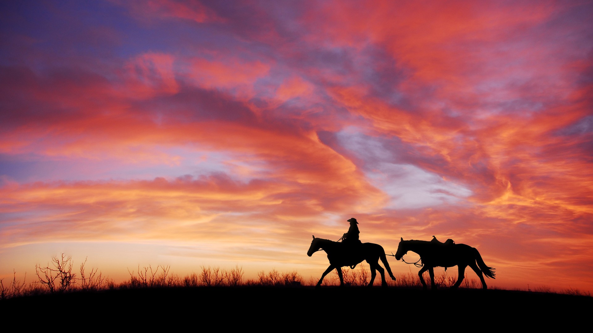 Sunset Riders — fanart