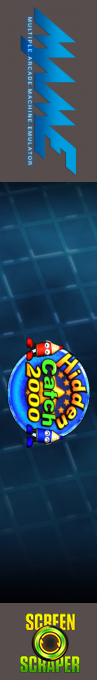 Hidden Catch 2000 — box-2D-side (SS)