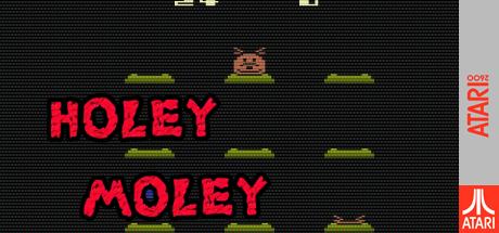 Holey Moley — steamgrid
