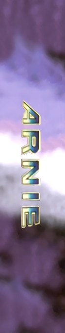 Arnie — box-2D-side (CUS)