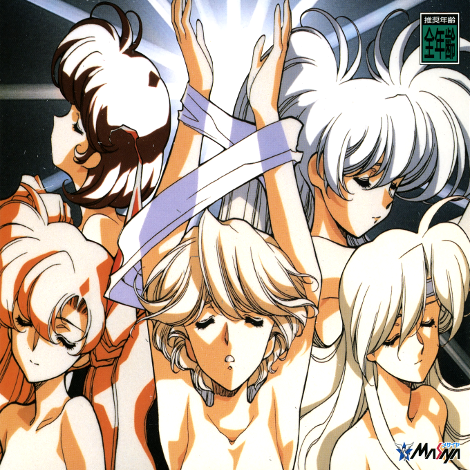 Langrisser Tribute box art