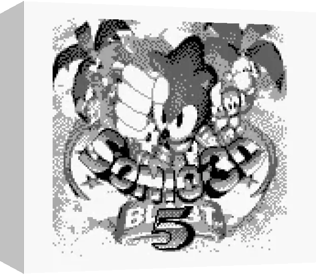 Sonic 3d Blast 5 — box-3D (WOR)