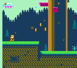 Pico Pico Grand Adventure — ss (WOR)