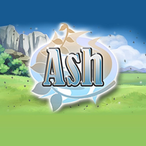 ASH — support-texture (CUS)