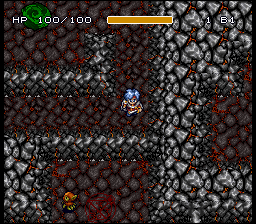 Dun Quest - Majin Fuuin No Densetsu — ss (JP)