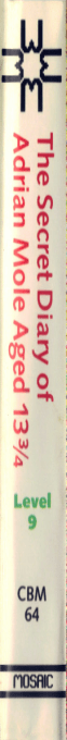 Secret Diary Of Adrian Mole Aged 13, The — box-2D-side (EU)