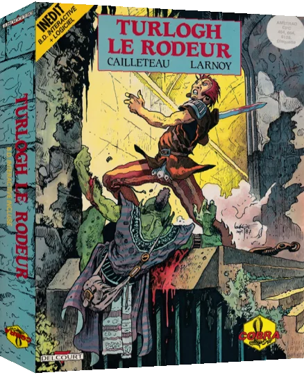 Turlogh Le Rodeur — box-3D (FR)