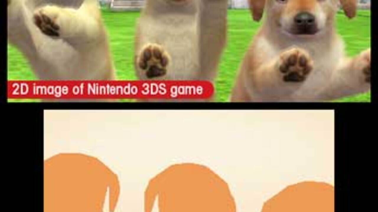 Nintendogs + Cats - Poodle & New Chingudeul — screenshot (WOR)