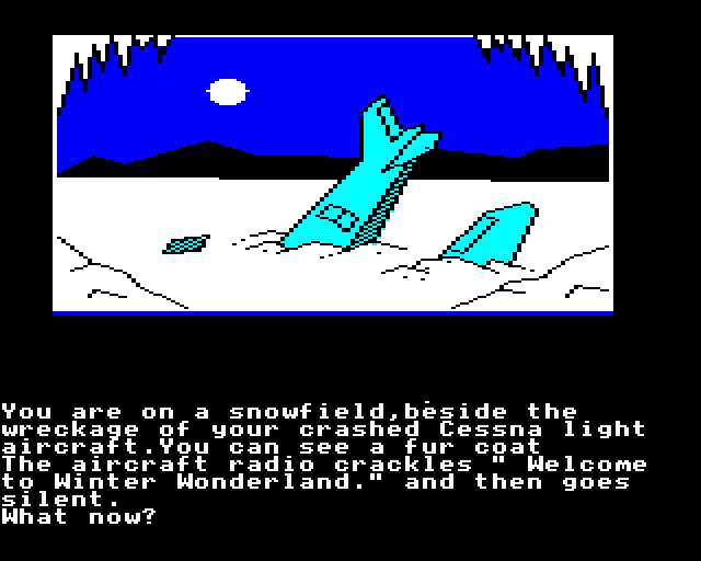 Winter Wonderland — ss (EU)