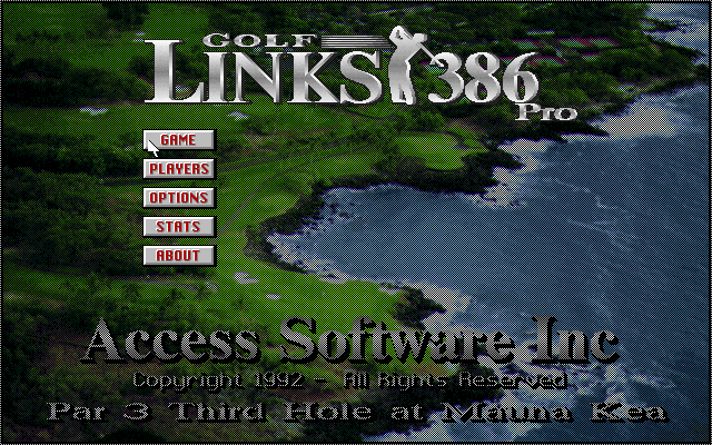 Golf Links 386 Pro — sstitle (JP)