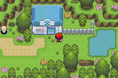 Pokemon : Dark Rising 2 — ss (WOR)
