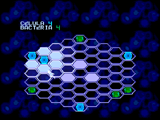 Hexagono — ss (WOR)