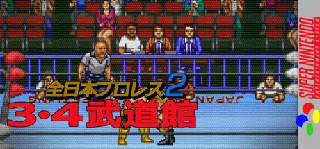 Zen-nihon Pro Wres 2 - 3-4 Budoukan — steamgrid