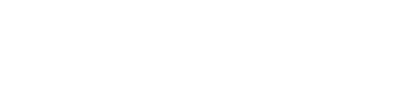 Intelligence 2 — wheel (EU)