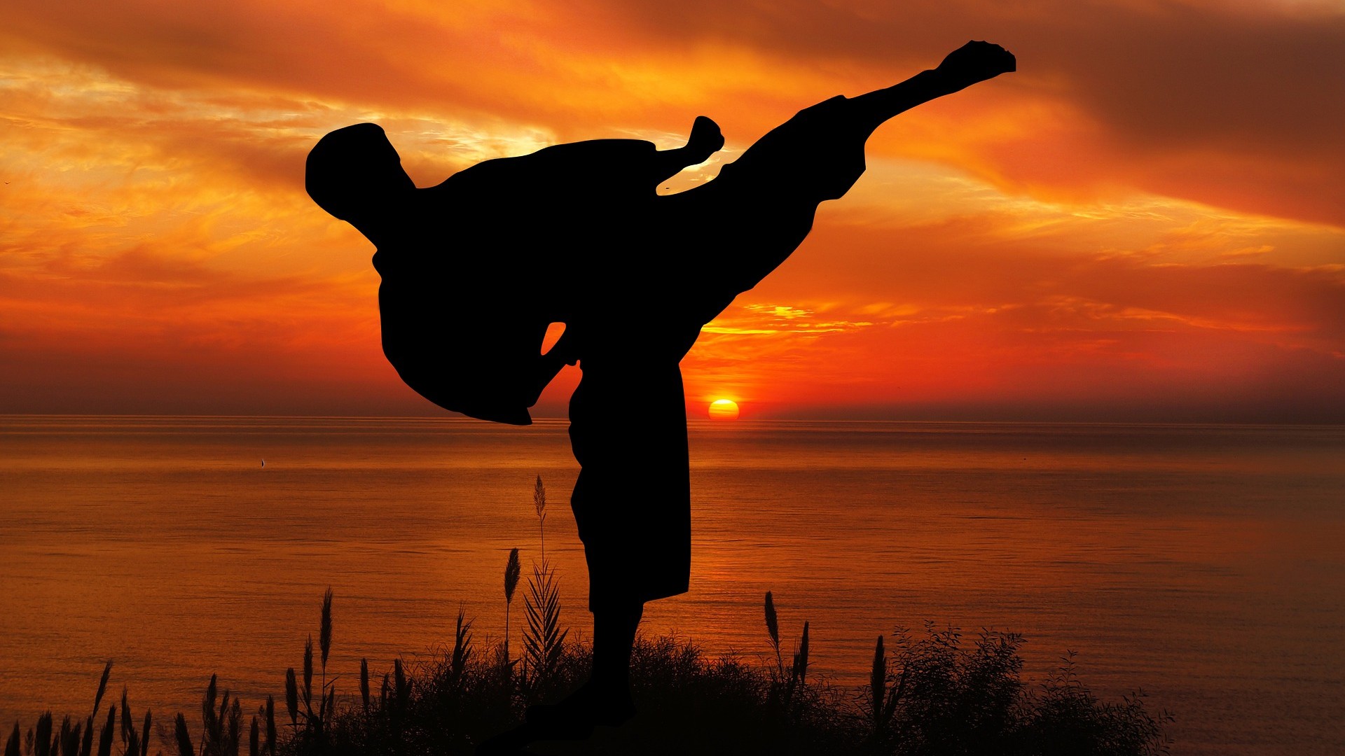 International Karate 2000 — fanart