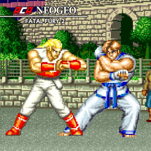 Aca Neogeo Fatal Fury 2 — support-texture (CUS)