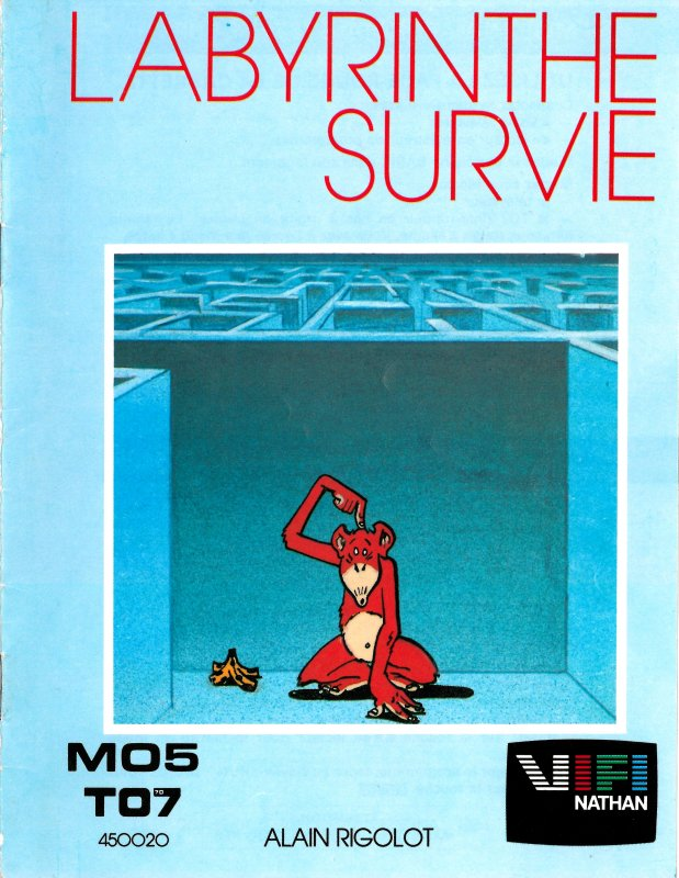 Labyrinthe Survie box art