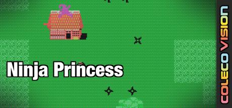Ninja Princess — steamgrid