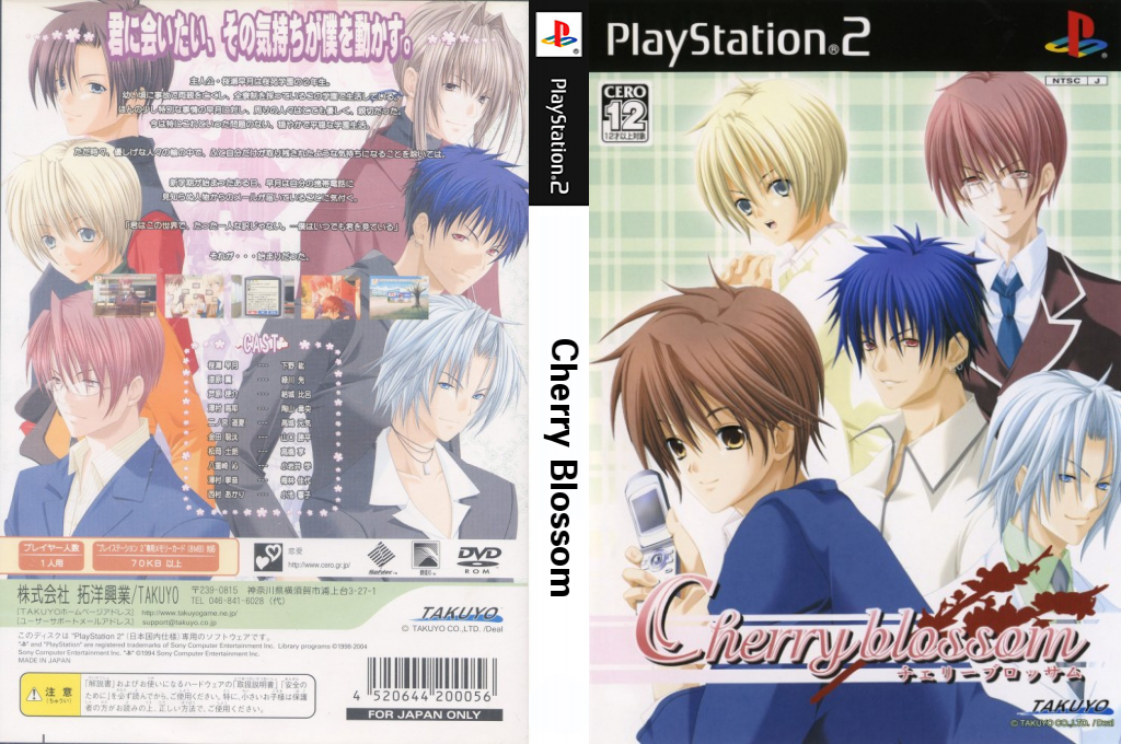 Cherry Blossom — box-texture (JP)