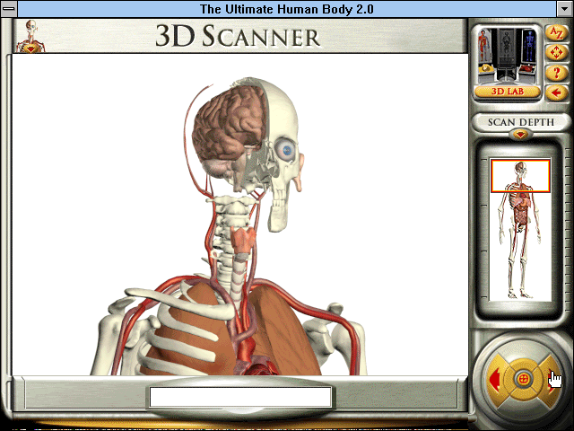 The Ultimate Human Body 2.0 — ss (WOR)