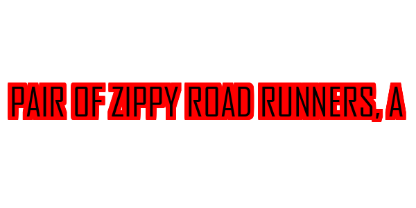 A Pair of Zippy Road Runners — wheel-hd (SS)