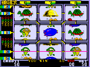 Animal Wonders — ss (WOR)