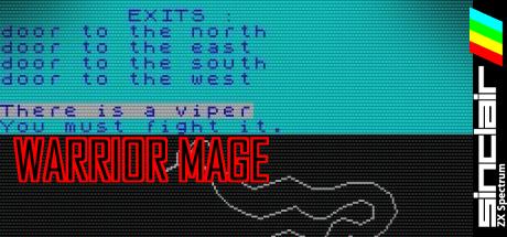 Warrior Mage — steamgrid