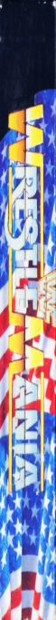 WWF Wrestlemania — box-2D-side (EU)