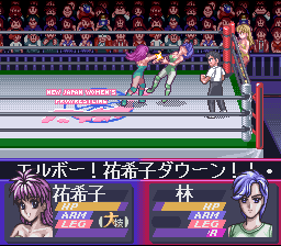 Bishoujo Wrestler Retsuden - Blizzard Yuki Rannyuu!! — ss (JP)