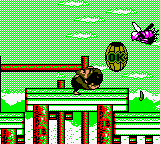 Super Donkey Kong 5 — ss (TW)