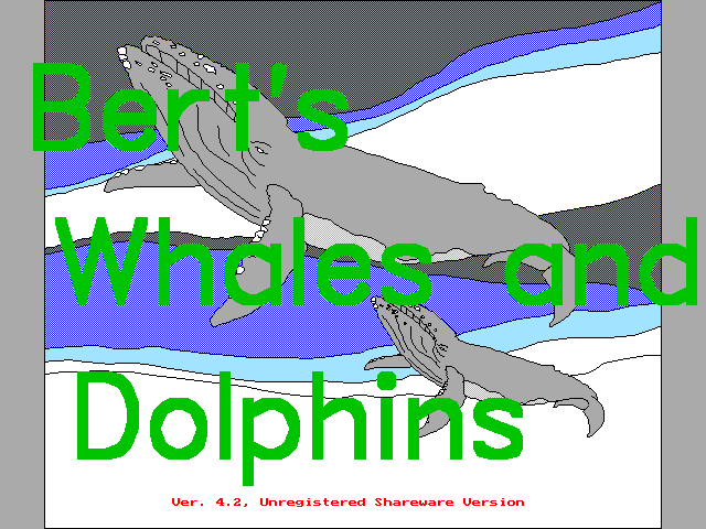 Bert's Whales And Dolphins box art