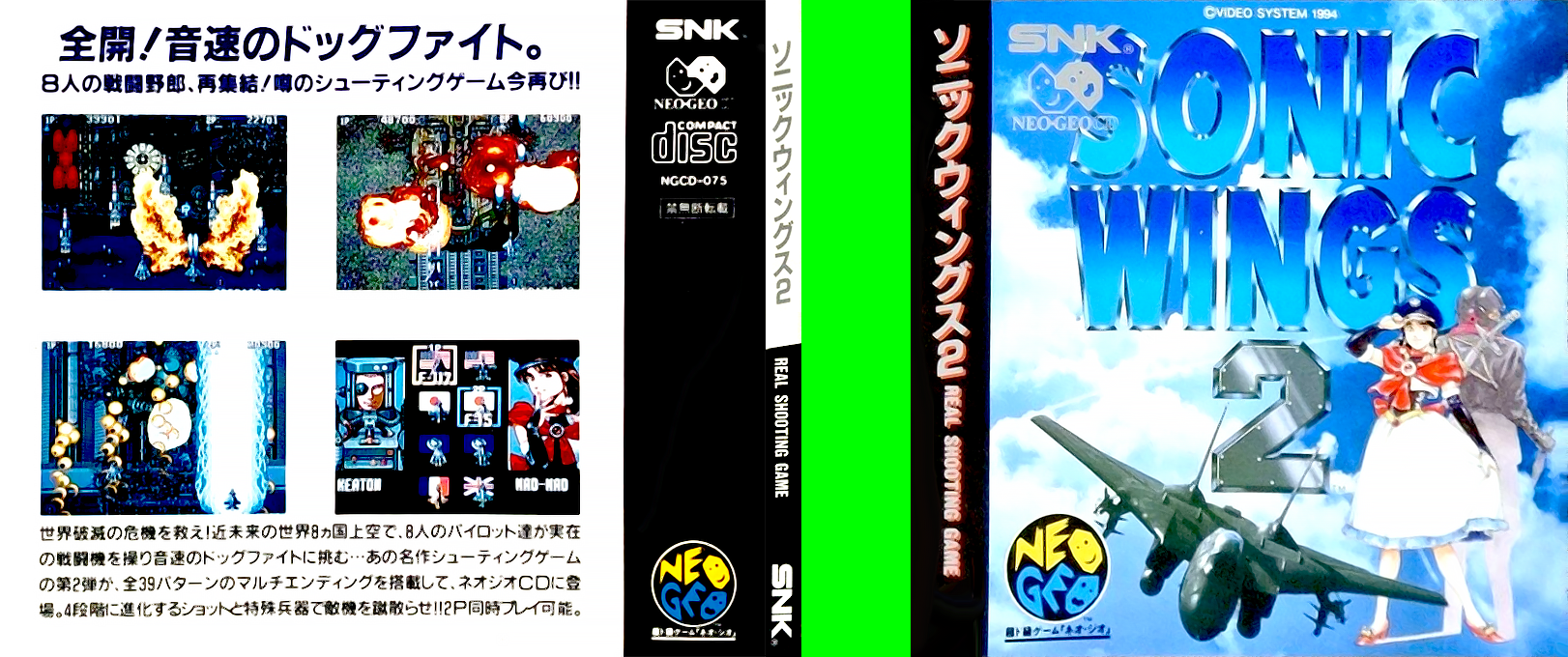 Aero Fighters 2 — box-texture (JP)