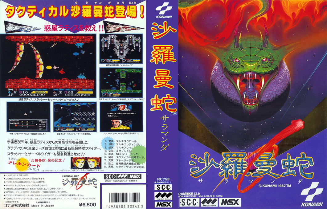 Salamander — box-texture (JP)
