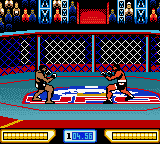 Ultimate Fighting Championship — ss (WOR)
