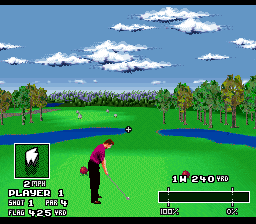 World Masters Golf — ss (WOR)